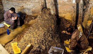 10 tons of copper coins unearthed in 2,000 years old ancient tomb