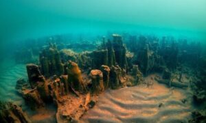 Ruins of a 3000-year-old Armenian castle found in Lake Van – Turkey