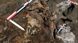 Scythian Burial With Golden Headdress Found in Russia