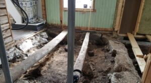 Norway couple find Viking grave under floor of their house