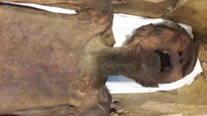 The mystery of ‘The Screaming Mummy’ is finally revealed, and it’s chilling