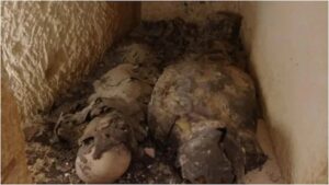 Cleopatra’s final resting place: Mummies of two high-status Egyptians discovered.