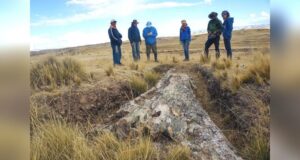 Giant 10-Million-Year-Old Fossil Tree in Peru Reveals Surprises About Ancient Past