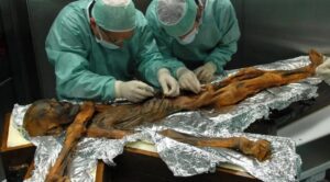 After 5,300 years, the last meal of an ancient Iceman has been revealed – and it was a high-fat, meaty feast