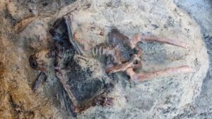 Remains of man who was ‘vaporized’ by Mount Vesuvius 2,000 years ago discovered